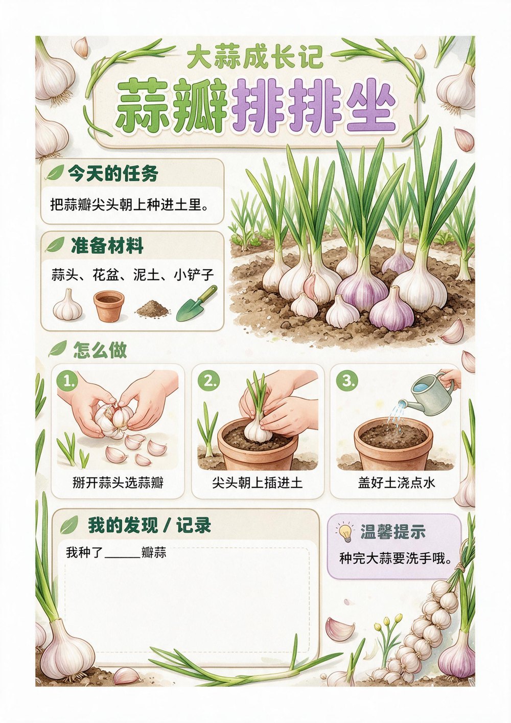 绘本任务卡样例：大蒜成长记